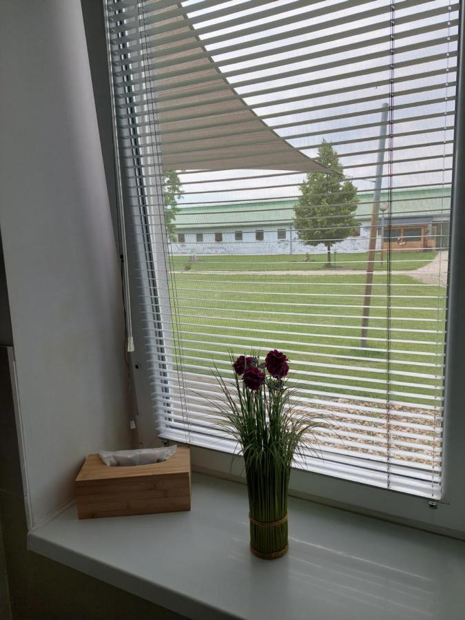 Hédervári Lovas Vendégház Esterno foto